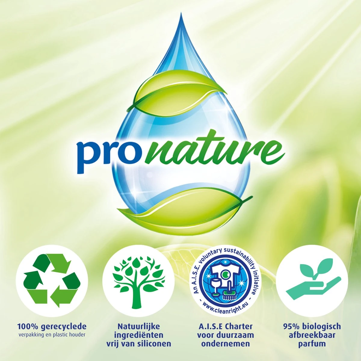 Witte Reus Pro Nature Munt Eucalyptus - 10 Stuks - Afbeelding 4