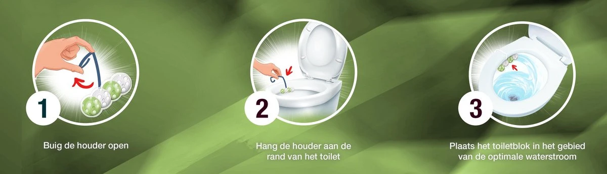 Witte Reus Pro Nature Munt Eucalyptus - 10 Stuks - Afbeelding 6